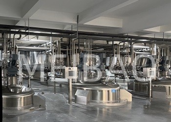 Liquid detergent production line put into production and operation